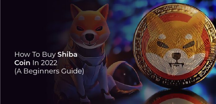 how to buy shiba coin