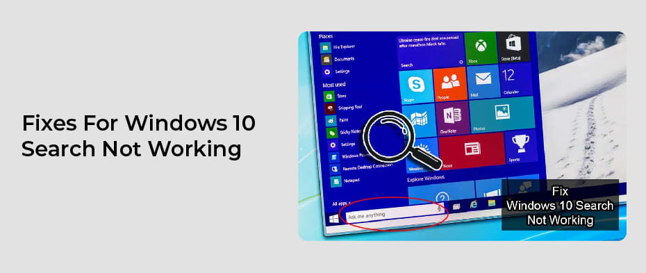 Windows 10 Search Not Working