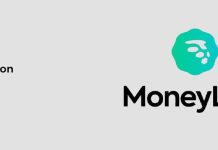 Is Moneylion Legit?