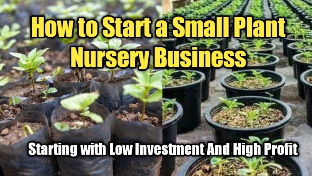 How to Start a Plant Nursery