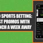 Sports Betting 101