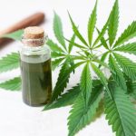 Top 5 UK CBD Shops