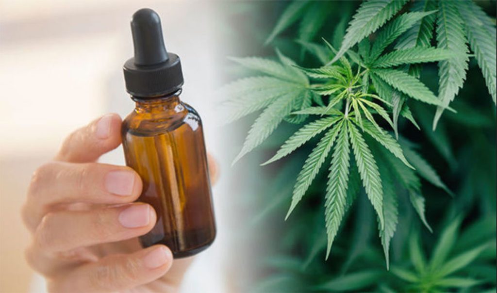 What Is CBD Bioavailability?