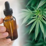 What Is CBD Bioavailability?