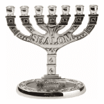 Silver Kiddush Cup