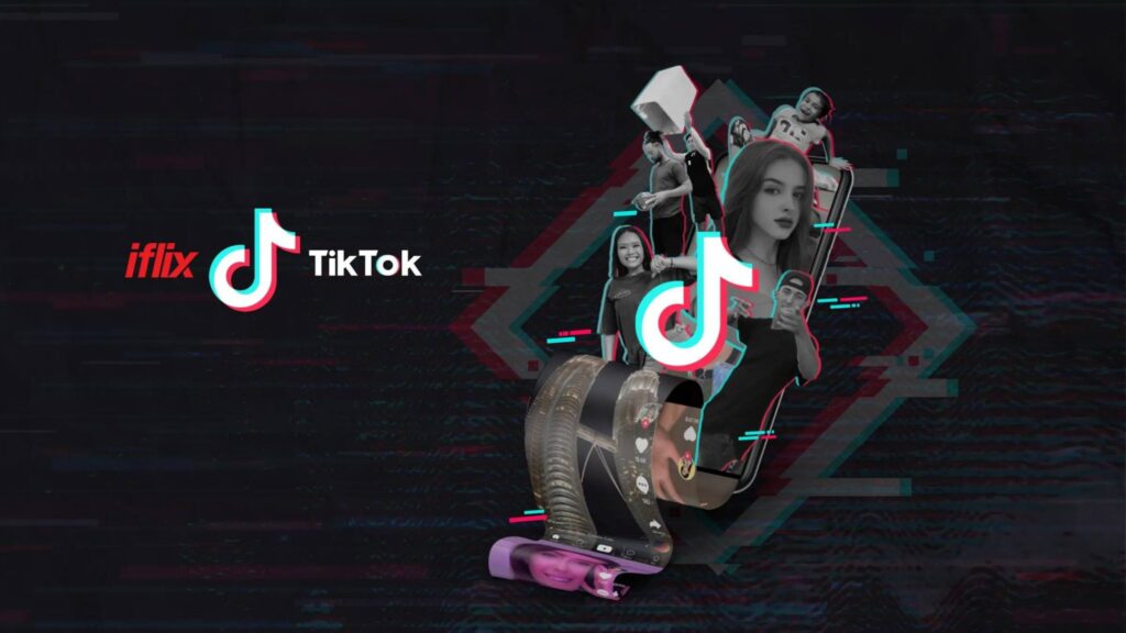 The Enigma of TikTok Views: Exploring the Dynamics of Digital Influence