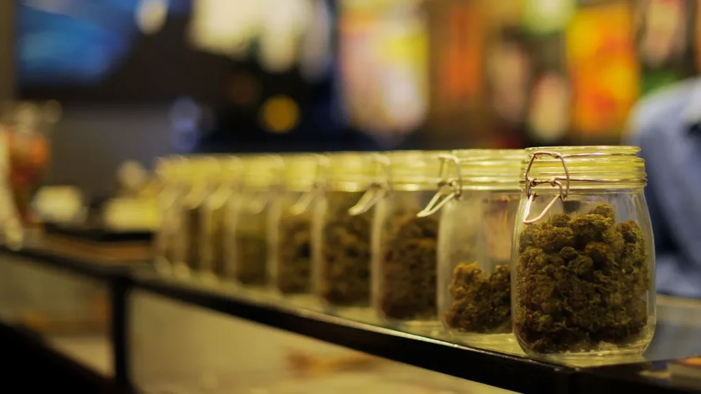 How Programmatic Advertising Helps Every Cannabis Dispensary Reach the Right Customers